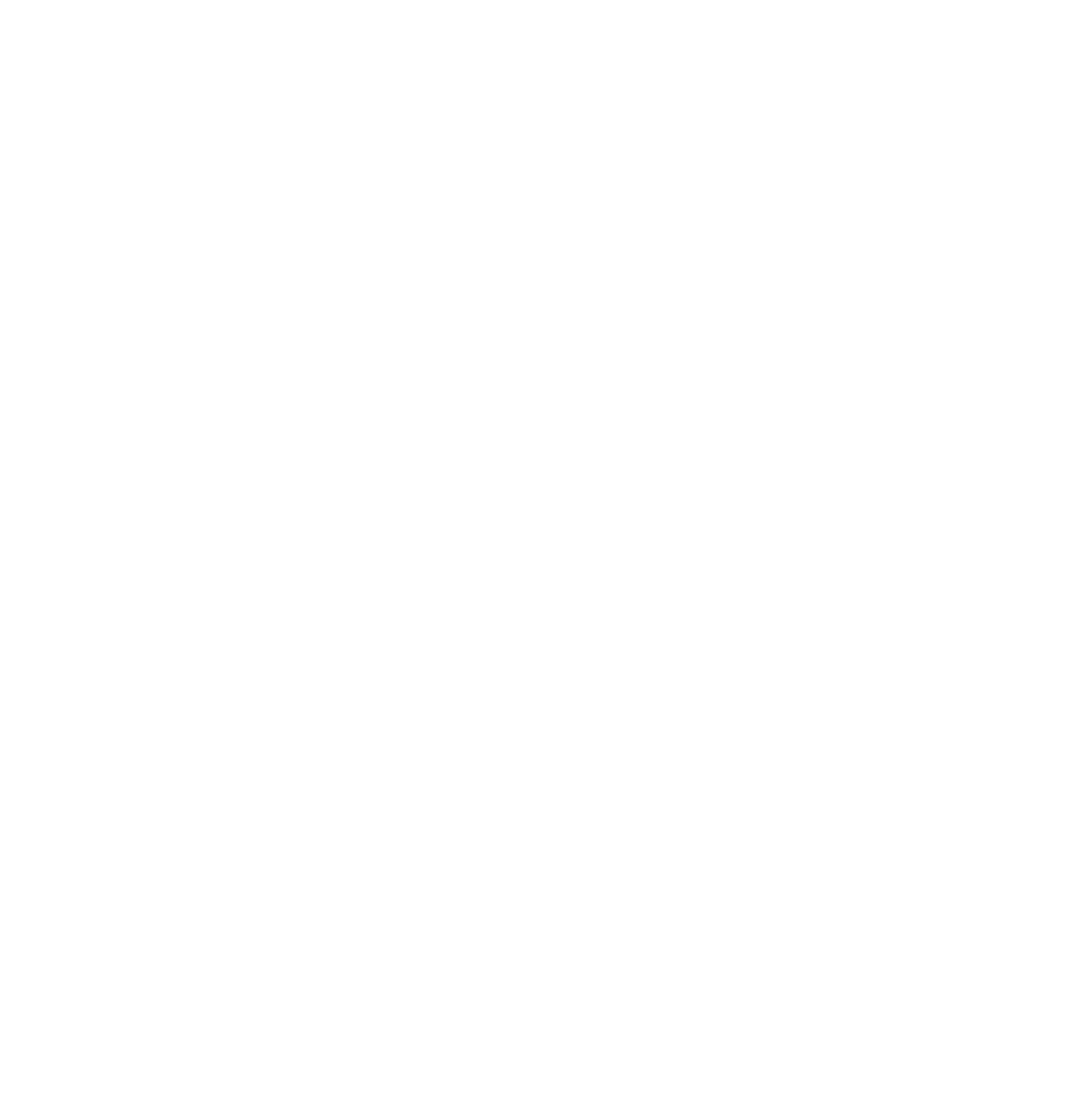 NewAge Caravans